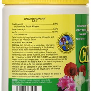 Grow More 7450 8-Ounce Organic Iron Chelate Concentrate