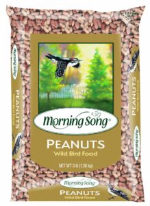 morning song 1022285 peanuts wild bird food bag, 3-pound (discontinued by manufacturer)