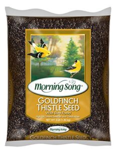 morning song 12000 goldfinch thistle seed wild bird food, 3-pound