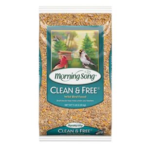 morning song clean & free shell free wild bird food, premium no mess bird seed for outside feeders, 10-pound bag