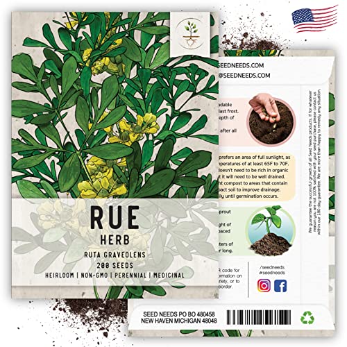 Seed Needs, Rue Herb Seeds for Planting (Ruta graveolens) Heirloom, Non-GMO & Untreated - Medicinal Herb (2 Packs)