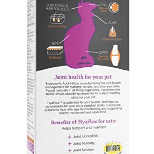 Cat Joint Supplement, Hyalogic Hyaluronic Acid Cat Supplements– 30-60 Day Supply, 1oz HA, Cartilage Supplement, Hip & Joint Supplement - Cat Health Supplies, W/ No Fuss Liquid Dropper