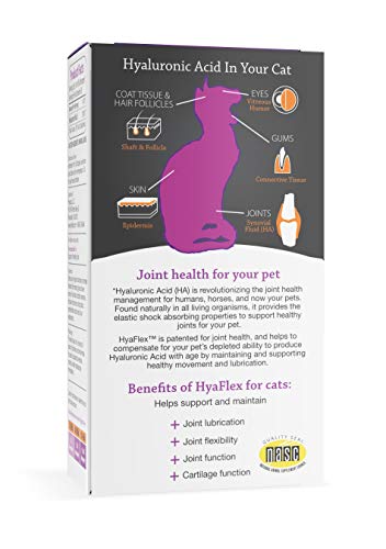 Cat Joint Supplement, Hyalogic Hyaluronic Acid Cat Supplements– 30-60 Day Supply, 1oz HA, Cartilage Supplement, Hip & Joint Supplement - Cat Health Supplies, W/ No Fuss Liquid Dropper