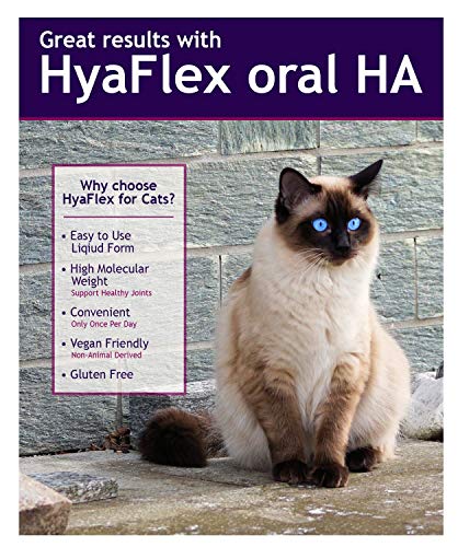 Cat Joint Supplement, Hyalogic Hyaluronic Acid Cat Supplements– 30-60 Day Supply, 1oz HA, Cartilage Supplement, Hip & Joint Supplement - Cat Health Supplies, W/ No Fuss Liquid Dropper