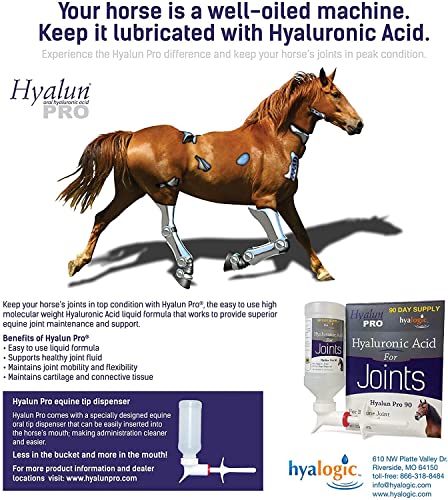 Hyalogic Hyaluronic Acid for Horses 90 Day Supply - 9oz - Easy Oral Tip Dispenser - Liquid HA Supplement for Equine Joints and Cartilage Support - Hyalun Pro - 9 oz / 296ml