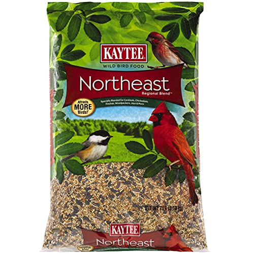 Kaytee Northeast Regional Wild Bird Blend, 7-Pound Bag