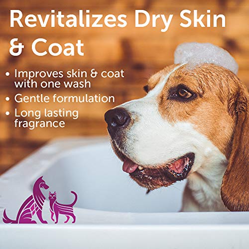 Nootie - Pet Shampoo for Sensitive Skin - Revitalizes Dry Skin & Coat - Natural Ingredients - Soap, Paraben & Sulfate Free - Cleans & Conditions