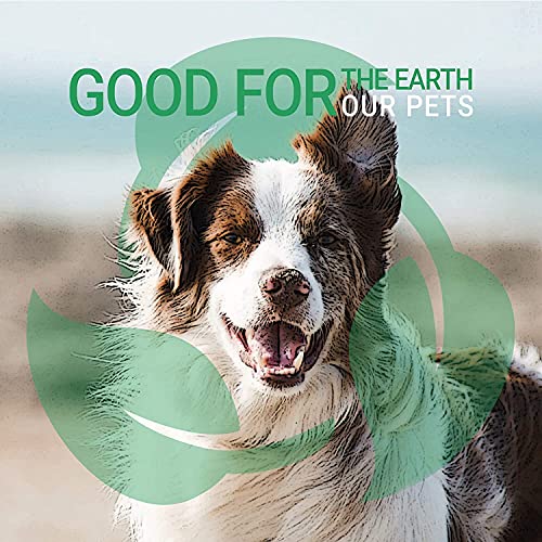 Green Groom Odor Eliminator Dog Shampoo, 16 oz - Crafted with Odortrol, All Natural Ingredients, Antioxidant Rich, Eliminates Smelly Pet Odors, Powerful Deodorizing Formula, Professional Grade