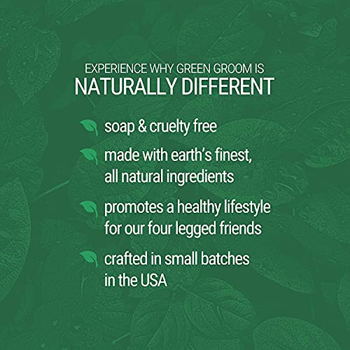 Green Groom Odor Eliminator Dog Shampoo, 16 oz - Crafted with Odortrol, All Natural Ingredients, Antioxidant Rich, Eliminates Smelly Pet Odors, Powerful Deodorizing Formula, Professional Grade