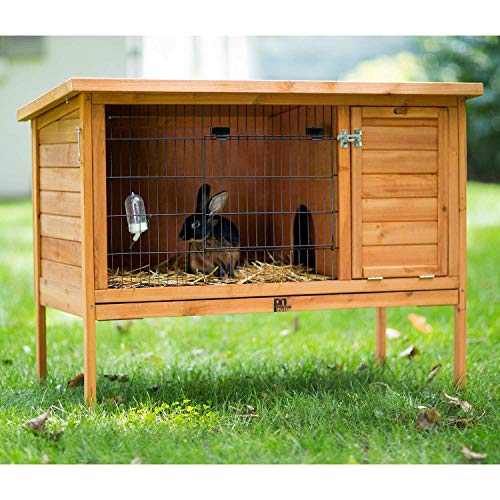 Prevue Hendryx 461 Large Rabbit Hutch, Stained Wood