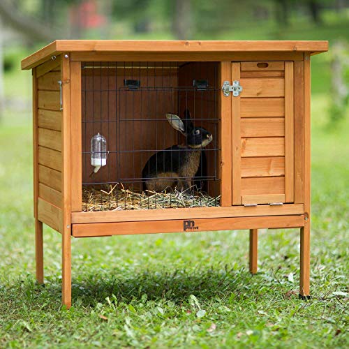 Prevue Hendryx 461 Large Rabbit Hutch, Stained Wood