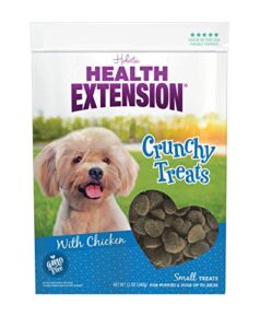 health extension dry dog treat, gmo-free, training treats for small breeds dogs & puppies, with added vitamin & minerals, heart-shaped crunchy biscuits with chicken (12 oz / 340 g)