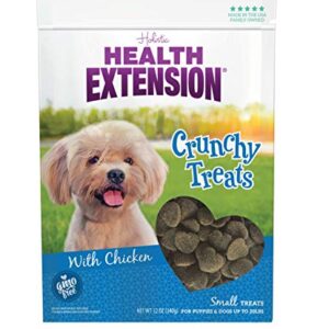 Health Extension Dry Dog Treat, GMO-Free, Training Treats for Small Breeds Dogs & Puppies, with Added Vitamin & Minerals, Heart-Shaped Crunchy Biscuits with Chicken (12 Oz / 340 g)