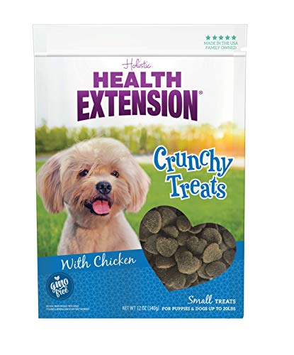 Health Extension Dry Dog Treat, GMO-Free, Training Treats for Small Breeds Dogs & Puppies, with Added Vitamin & Minerals, Heart-Shaped Crunchy Biscuits with Chicken (12 Oz / 340 g)