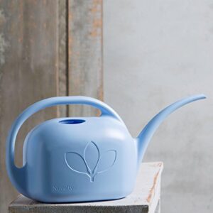 Novelty Indoor Watering Can, 1 Gallon, Sky Blue