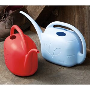 Novelty Indoor Watering Can, 1 Gallon, Sky Blue