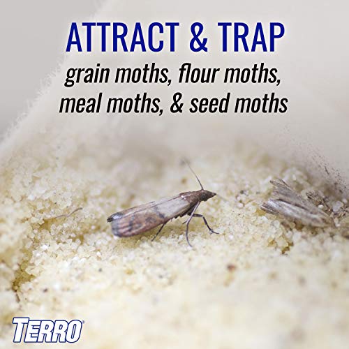 TERRO T2900 2-Pack Pantry Moth Traps - Traps grain moths, flour moths, meal moths, and seed moths