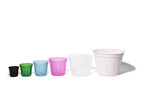 rePotme Orchid Pots - 8 Pack of Slotted Clear Pots with Holes, 3, 4, 5, 6 Inch Sizes for Indoor/Outdoor, Ideal for Repotting