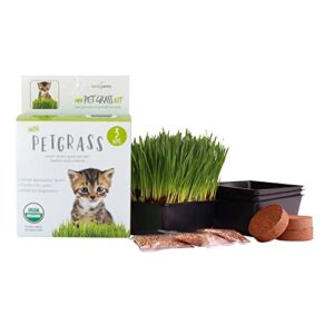 handy pantry organic cat grass kit - includes 3 trays, soil pucks, and 3 packs non gmo wheatgrass seed - a healthy treat for cats, dogs, rabbits, more