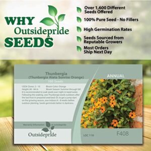 Outsidepride Thunbergia Orange Black-Eyed Susan Climbing & Vining Plants - 100 Seeds