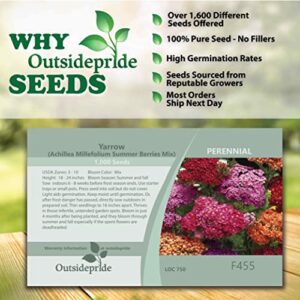 Outsidepride Achillea Yarrow Summer Berries Garden Flowers for Cutting, Dried Arrangements - 1000 Seeds