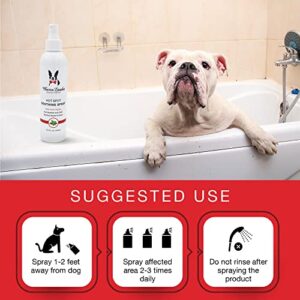 Warren London Dog Hot Spot Soothing Spray- Cooling Anti Itch Spray w/Menthol Made in USA- 8oz