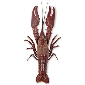 preserved crayfish, pail of 10, 4 inches +
