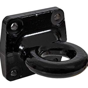 Buyers Products BDB125015 Pintle Ring (2.5")