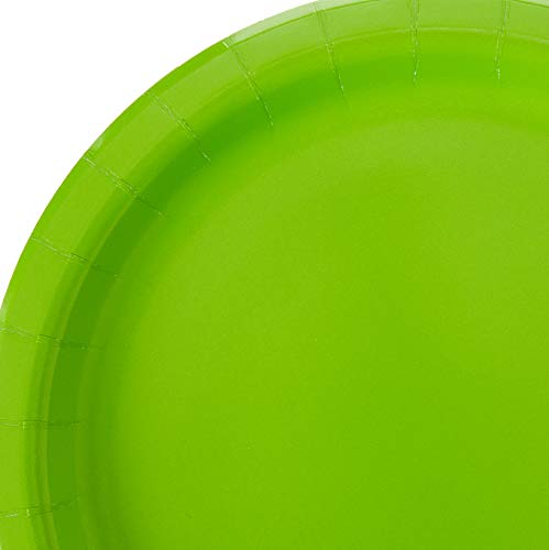 Creative Converting Touch of Color 24 Count Paper Dinner Plates, Fresh Lime