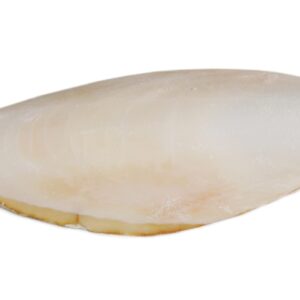 Prevue Pet Products 1143 5-Inch Bird Cuttlebone, Medium