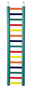 prevue pet products bpv01139 carpenter creations hardwood bird ladder with 15 rungs, 24-inch, colors vary