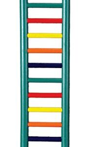 Prevue Pet Products BPV01139 Carpenter Creations Hardwood Bird Ladder with 15 Rungs, 24-Inch, Colors Vary