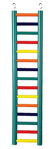 Prevue Pet Products BPV01139 Carpenter Creations Hardwood Bird Ladder with 15 Rungs, 24-Inch, Colors Vary