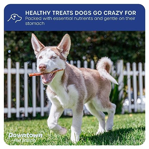 Downtown Pet Supply 12 inch 4 Pack of Bully Sticks for Medium Dogs & Large Dogs, Single Ingredient, Rawhide-Free Long Lasting Bully Sticks for Large Dogs- No Hide Bullsticks for Bully Stick Holder