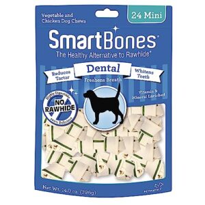 smartbones sbd-00222 rawhide-free dental dog chew, vegetable & chicken dog chew,mini | 24 count