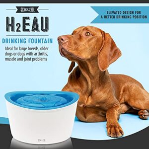 ZEUS H2EAU Elevated Dog and Cat Drinking Water Fountain with Purifying Filter, 6L Capacity