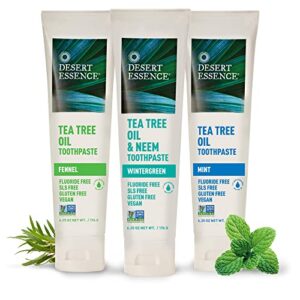 Desert Essence Tea Tree Oil Toothpaste - Mint - 6.25 Oz - Pack of 2 - Refreshing Taste - Deep Cleans Teeth & Gums - Helps Fight Plaque - Sea Salt - Pure Essential Oil - Baking Soda
