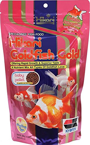 Hikari Gold Baby Floating Pellets for Koi and Pond Fish for Pets, 10.5-Ounce