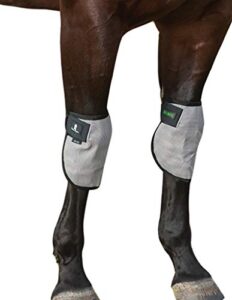 classic equine magntx knee wraps