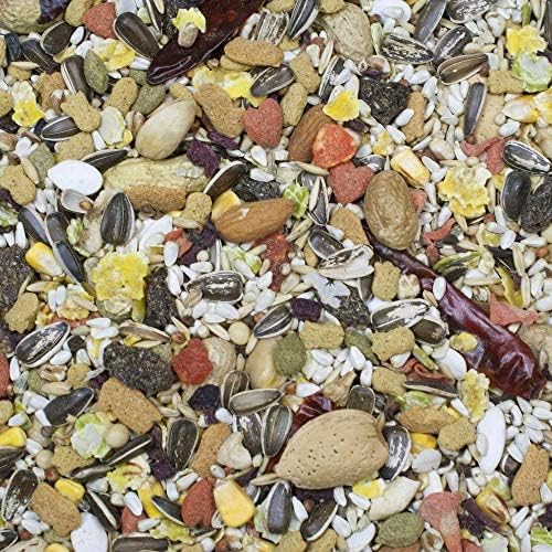 Higgins Premium Pet Foods Hig Sunburst Parrot 3lb, Large