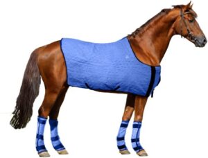 hyperkewl evaporative cooling horse blanket, large, blue