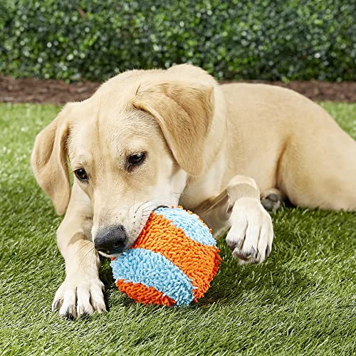 Chuckit! Indoor Fetch Ball Dog Toy (4.75 Inch), Orange and Blue