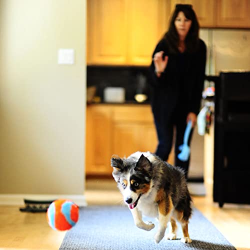 Chuckit! Indoor Fetch Ball Dog Toy (4.75 Inch), Orange and Blue