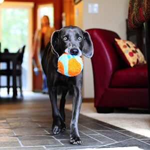 Chuckit! Indoor Fetch Ball Dog Toy (4.75 Inch), Orange and Blue