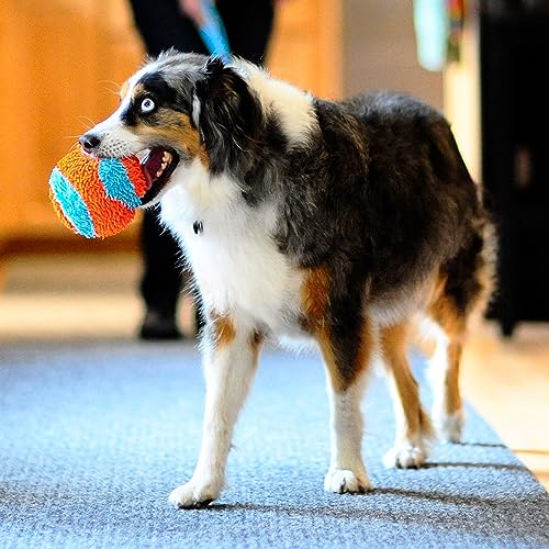 Chuckit! Indoor Fetch Ball Dog Toy (4.75 Inch), Orange and Blue