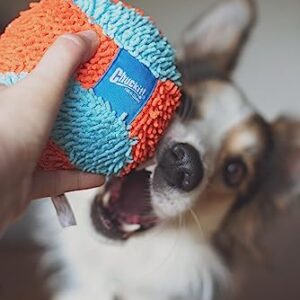 Chuckit! Indoor Fetch Ball Dog Toy (4.75 Inch), Orange and Blue