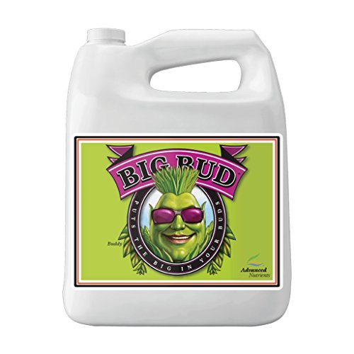 Advanced Nutrients GL525050-12 Big Bud Liquid Fertilizer, 250 mL.250 Liter, Brown/A