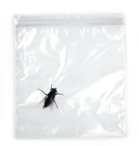 fred & friends lunch bugs zipper sandwich bags, 24 count, clear (lbug)