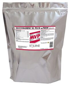 glucosamine xl +msm (5lb) for equine joint support
