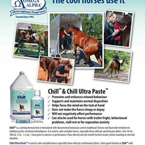 Chill Calming Formula for Horses - 32 Ounces (Quart)